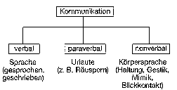 verbal.gif (1448 Byte)