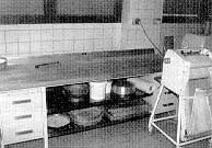 back3.jpg (12819 Byte)