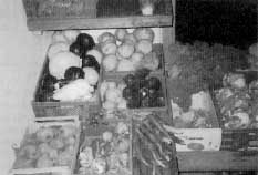 verkauf2.jpg (10947 Byte)