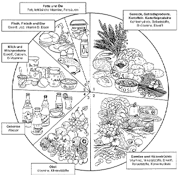 vollwert.gif (17868 Byte)