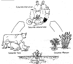 ziel.gif (6060 Byte)