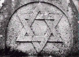 wpe23.jpg (12975 Byte)