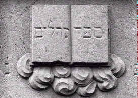 wpe26.jpg (10195 Byte)