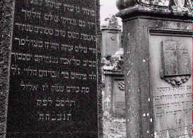 wpe29.jpg (10507 Byte)